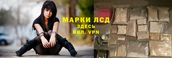ешки Аркадак